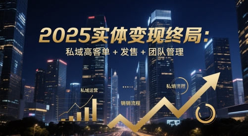 2025实体变现终局:私域高客单+发售+团队管理 2025实体变现终局:私域高客单+发售+团队管理