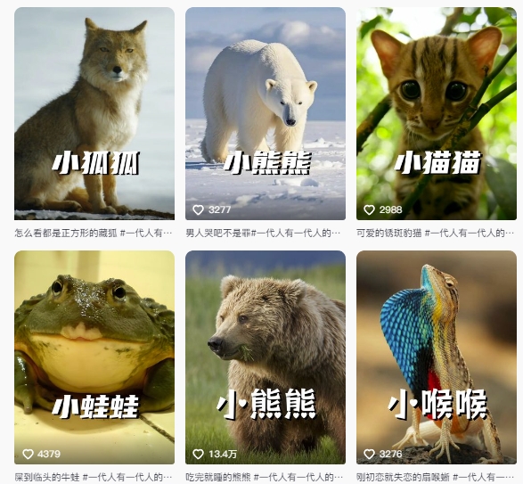 最新搞笑动物百科详细解说课程,蓝海赛道,流量非常大,轻松签独家进精选 最新搞笑动物百科详细解说课程,蓝海赛道,流量非常大,轻松签独家进精选